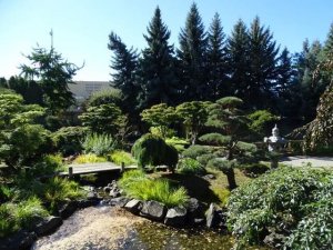 Japangarten_4.JPG